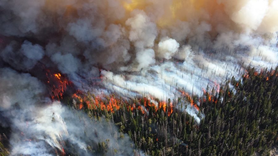 https://www.flickr.com/photos/npsclimatechange/14503287131