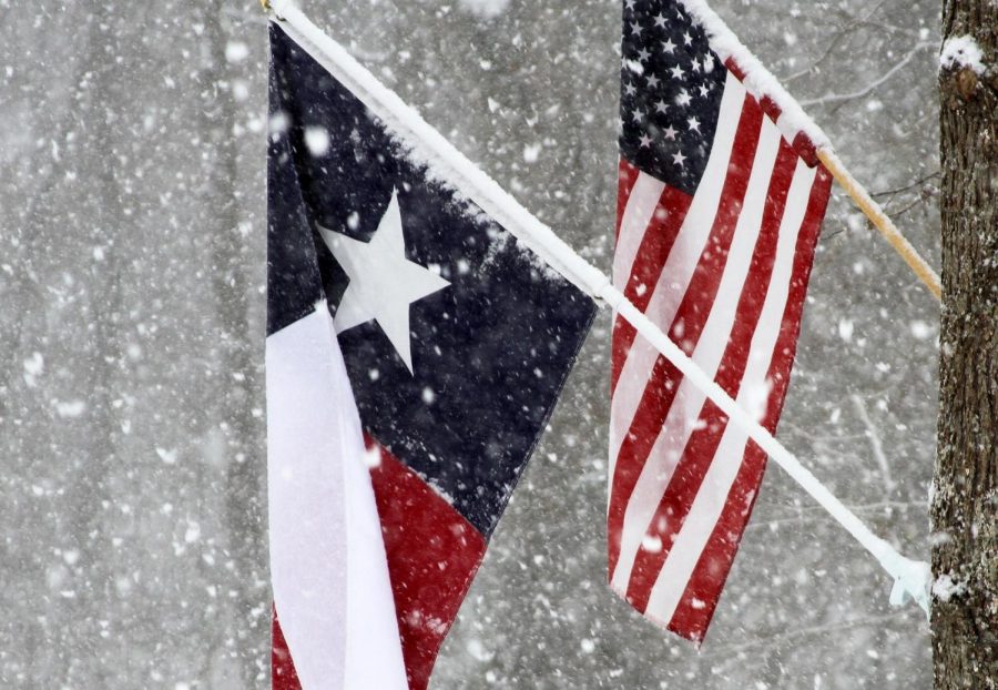 https://pixabay.com/photos/texas-flag-usa-state-america-2936760/