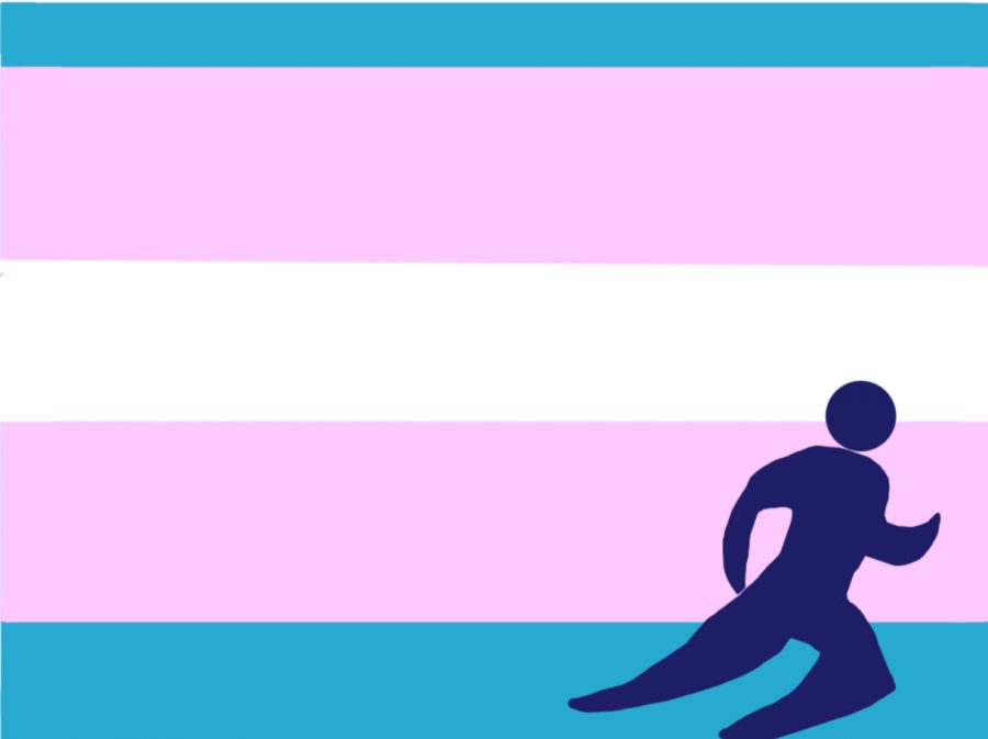 Transgender inclusion in sports