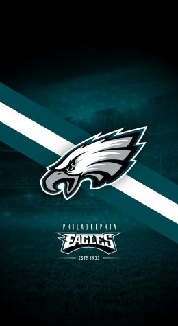 The NFL draft was held in April and was the 88th annual draft.  Eagles fans have high hopes for the next season and hope the draft secures a number of skilled players. 