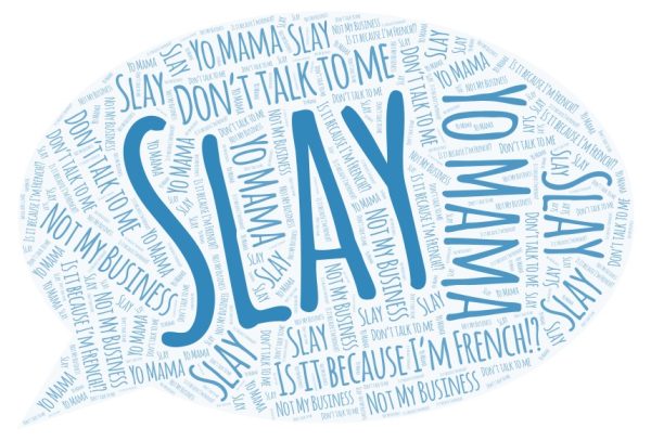 This collage presents 5 commonly used phrases, or bits, such as “slay”, “yo mama”, “don’t talk to me”, “is it because I’m French?”, and “not my business”. 