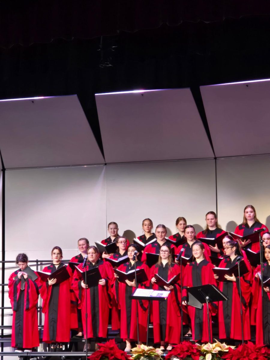Picture taken from a choir concert.