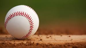 Saucon Valley baseball is ready for a divison-winning season.